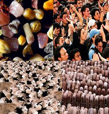 LA “NORMALIDAD”. LA PRINCIPAL METODOLOGÍA DE CONTROL MENTAL DE MASAS. LA NORMALIDAD ES UNA PROGRAMACIÓN DE CONTROL MENTAL PSICOTRÓNICO 