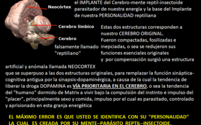 1/04/2022  LOS ÓRGANOS FÓSILES O VESTIGIALES,  CONSIDERADOS “INÚTILES” VESTIGIOS DE LA “EVOLUCIÓN”