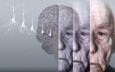 12/5/2021 EL “HOLA” O EL JURAMENTO MALDITO (LEG IURIS)