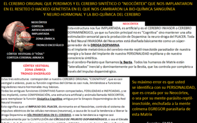 2/04/2022   QUÉ ES LA MENTE-PARÁSITO DE LA QUE SURGE NUESTRA “PERSONALIDAD” Y NOS MANTIENE PRISIONEROS EN ESTE SISTEMA MATRIX