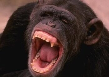 7/08/2021 RE-ZOOM-EN DE LA VIDA EN LA MATRIX Parte 2