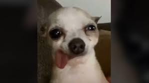 24/12/2021 LA NUEVA ECONOMÍA DIGITAL BIO*MÉTRICA: ¿ESTÁS PREPARADO?