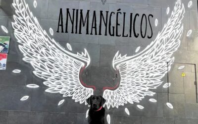 5/01/2022 GUARDIANÍA DEL PROTECTORADO ANIMANGÉLICO