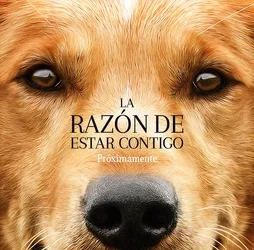 4/07/2021 LA RAZÓN DE ESTAR CONTIGO