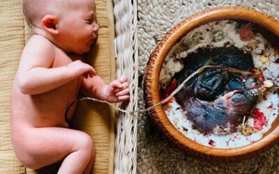 21/08/2023 HE AQUÍ EL VERDADERO TRATAMIENTO INMUNOLÓGICO POST-PARTO