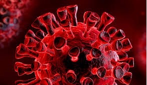 6/05/2020 LA MAYOR ESTAFADEMIA DE LA HISTORIA