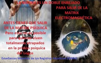 30/05/2020 LA MATRIX ES UN SISTEMA DE DOBLE REJILLA