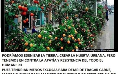 28/08/2023 EDENIZAR LA TIERRA