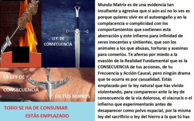 23/09/2023 LEY DE CONSECUENCIA