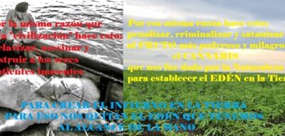 28/09/2023 LA AUTOPSIA ÁLMICA