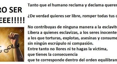 09/07/2023 QUIERO SER LIBRE