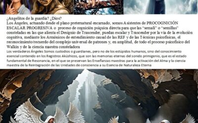 23/08/2024 «LOS ANGELITOS DE LA GUARDA LOS PUSO DIOS PARA CUIDARNOS»