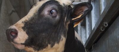 23/09/2024 NO PASA NADA, NO TIENE NADA DE MALO, ES LO NORMAL, ES LO NATURAL, ES “LA LEY DE LA VIDA”