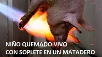 23/06/2022 TÚ, COME-CADÁVERES