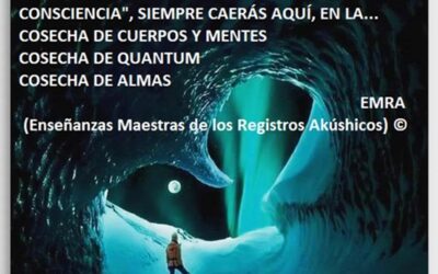 3/07/2022 «HAGAS LO QUE HAGAS»