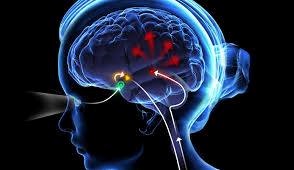 24/08/2022 EL MITO DE LA PINEAL