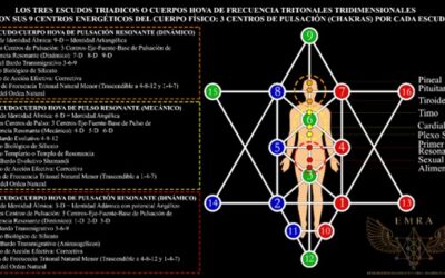 25/08/2022 LOS TRES ESCUDOS ESCALARES/CUERPOS HOVA DE FRECUENCIA ESCALAR RESONANTE