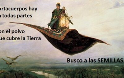 20/01/2022 BUSCO A LAS SEMILLAS!!!