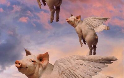 16/11/2021 ANIMANGÉLICOS –ÁNGELES ENTRE NOSOTROS–