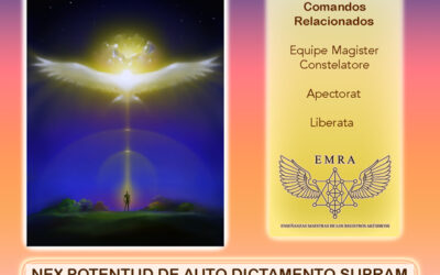 12/08/2022 TALLER-DICTATA SOBRE LA VOLUNTAD SOBERANA