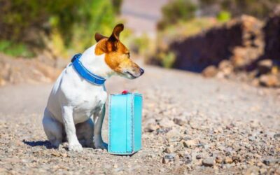 1/12/2023 ALEGRATIA CAROS! … CON EL TEMA DE LOS ESENCIALES DE NOVO