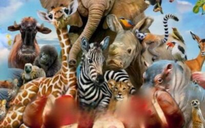 30/08/2023 EL JUEGO CONSTELADOR DE LA GRAN PARUSIA