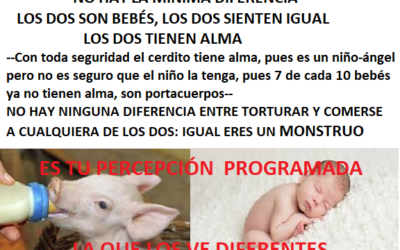 13/02/2022 SI DISFRUTAS VIENDO TORTURAR A OTRO…