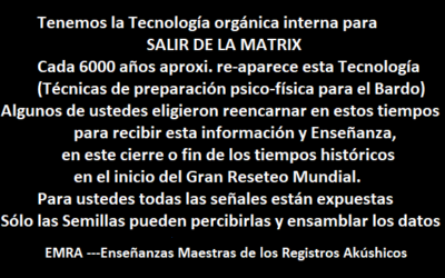 22/02/2022 TENEMOS LA TECNOLOGÍA ORGÁNICA INTERNA