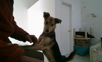 1/02/2022 LA HISTORIA DE DHARMA